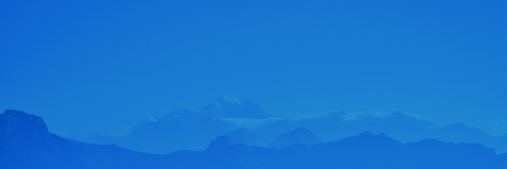 五星财税服务